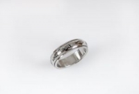 Ring, Edelstahl